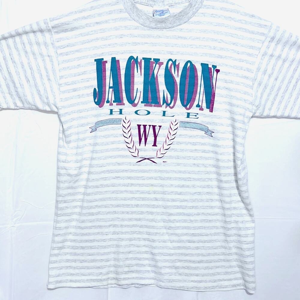 Vintage 90s Single Stitch Tshirt Size Large Made in USA Unisex Wyoming Jackson